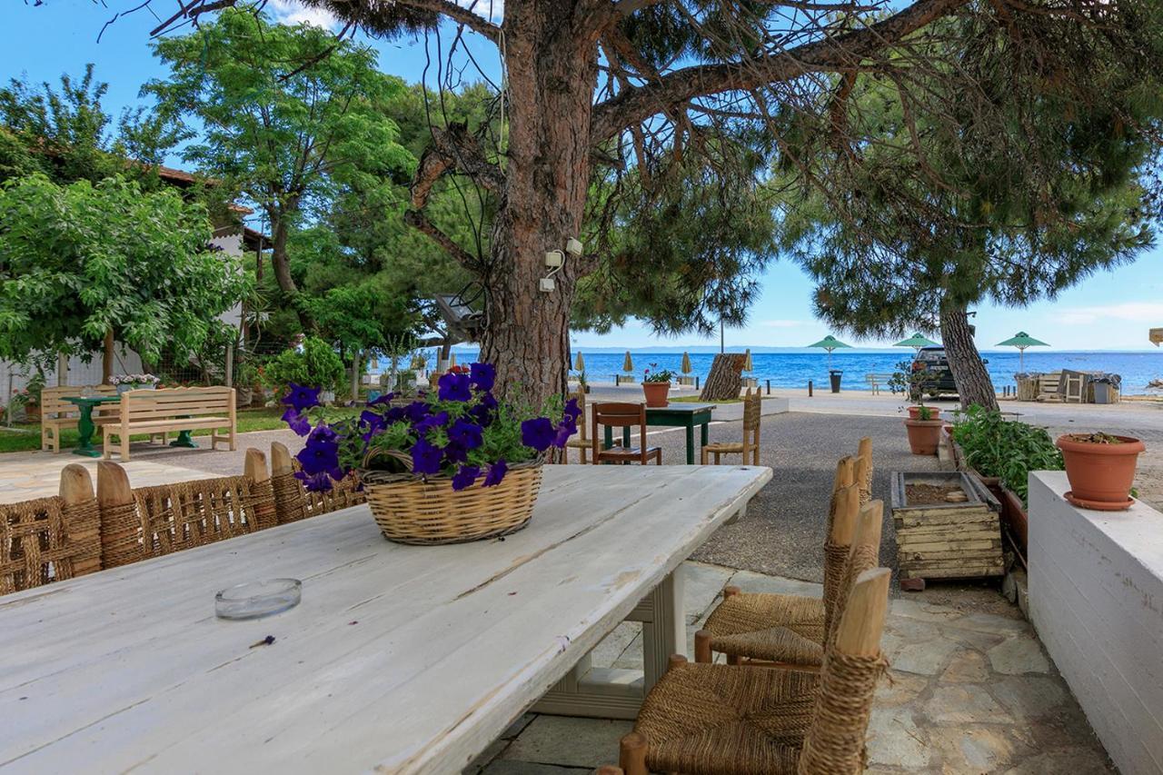Agapitos Apartments Nikiti  Dış mekan fotoğraf